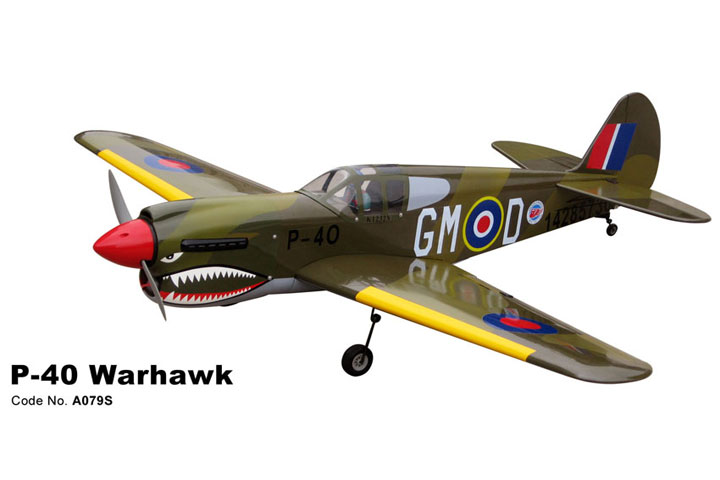 ¾Ë¾¾¹ðÅ© WORLD MODEL P-40 Warhawk (1450mm) 1