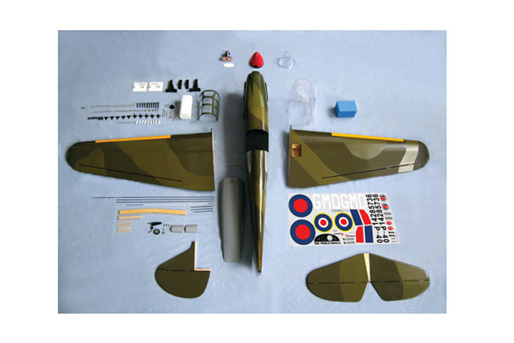 ¾Ë¾¾¹ðÅ© WORLD MODEL P-40 Warhawk (1450mm) 2