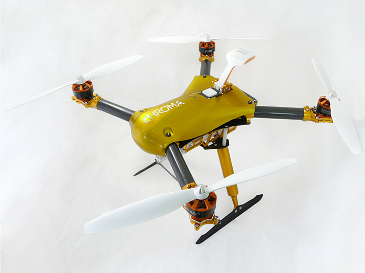 �˾���ũ Chroma-C0104 RKH Canopy (Gold) - Blade Chroma �ɼ� ĳ���� 1