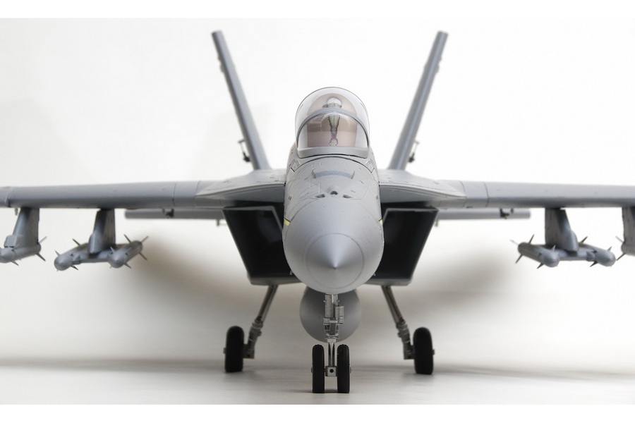 �˾���ũ FMS100P [FMS] 875mm F/A-18F ���� ȣ�� 70mm EDF Jet PNP (����, ���ӱ�, ����, ��Ʈ���� ����) 24
