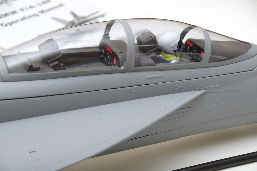 �˾���ũ FMS100P [FMS] 875mm F/A-18F ���� ȣ�� 70mm EDF Jet PNP (����, ���ӱ�, ����, ��Ʈ���� ����) 37