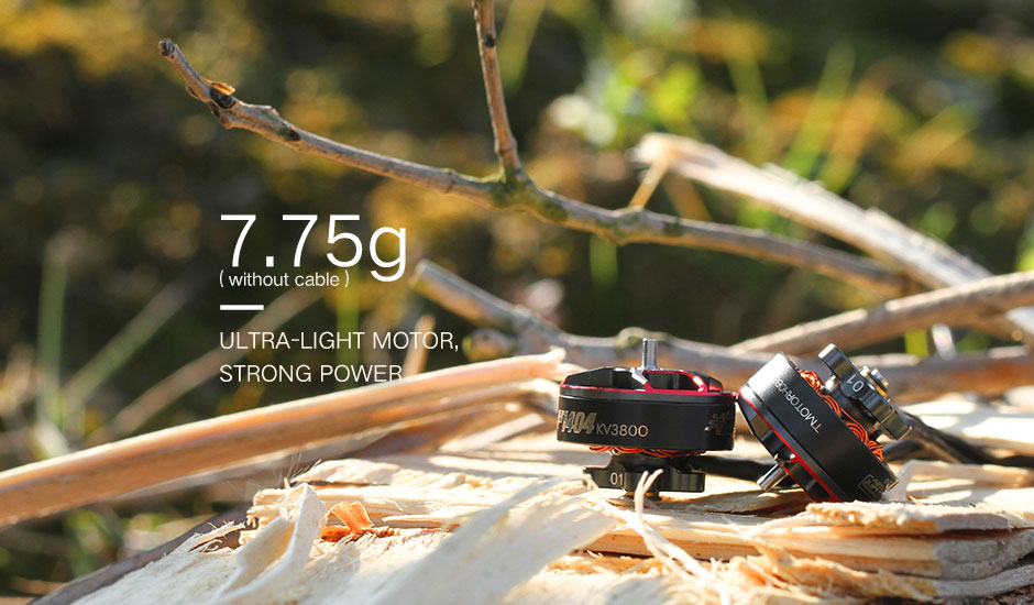 ¾Ë¾¾¹ðÅ© T-motor F1404 3800KV ·Õ·¹ÀÎÁö ¸ðÅÍ 2
