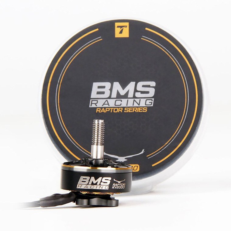 �˾���ũ  [T-MOTOR] BMS Racing Raptor Series 2306.5 2000kv ���̵̽�� �귯������ ���� 4