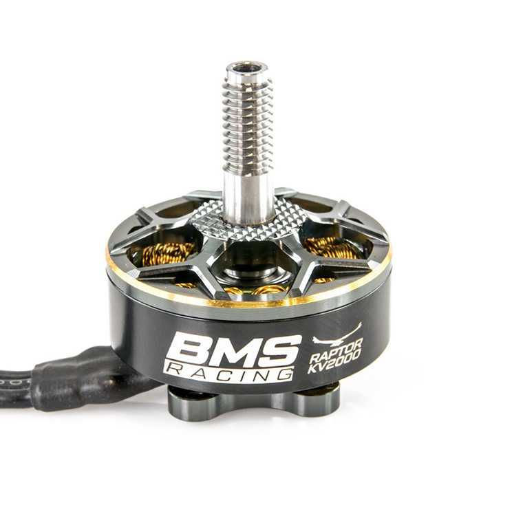 �˾���ũ  [T-MOTOR] BMS Racing Raptor Series 2306.5 2000kv ���̵̽�� �귯������ ���� 1