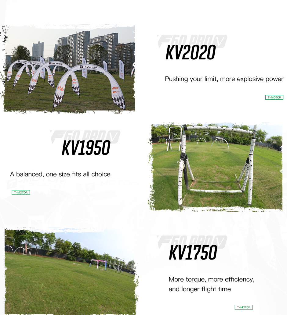 �˾���ũ  [T-MOTOR] F60pro V5 2550KV �귯������ ���� 5