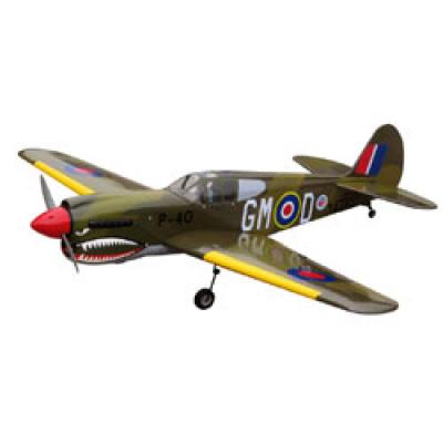 WORLD MODEL P-40 Warhawk (1450mm)