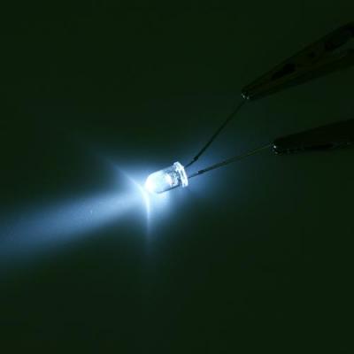 5���� ������ ���ֵ� LED - WHITE (���) 1��