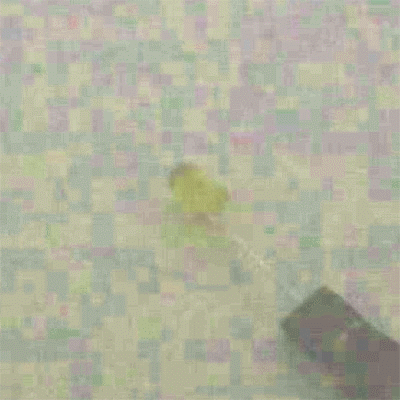 5���� ����Ÿ�� ������ ���ֵ� LED - Yellow (���) 1��