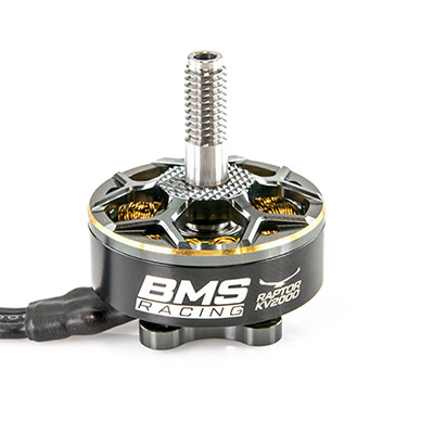 [T-MOTOR] BMS Racing Raptor Series 2306.5 2000kv ���̵̽�� �귯������ ����