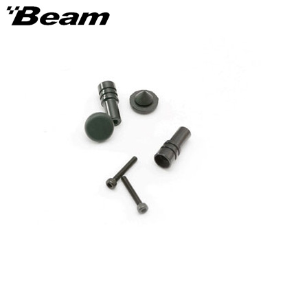 [Beam] ������ 550 ĳ���� ���̵�