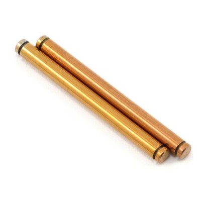 [TLR Racing] Team Losi Racing Rear Outer Hingepin Set (2) (TLR 22)
