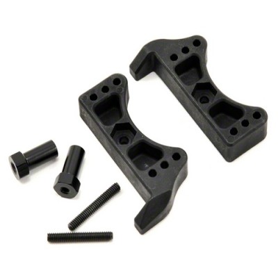 [TLR Racing] Team Losi Racing Battery Stop Set w/Posts (2)