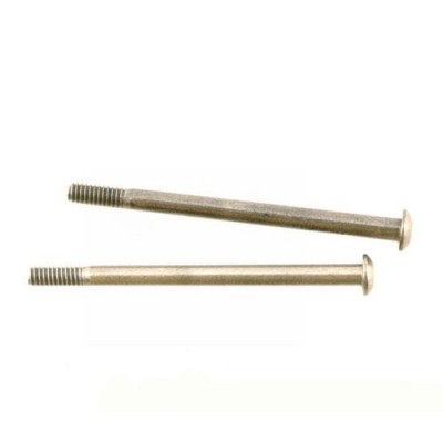 [TEAM LOSI] Hinge Pin Studs (2) - 8B/8T