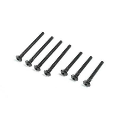 [TEAM LOSI] Inner Outer Hinge Pin Screw Set V100
