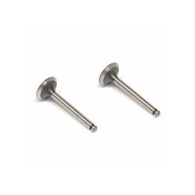 [Saito] Valve (in & out) for FA-62, FA-72