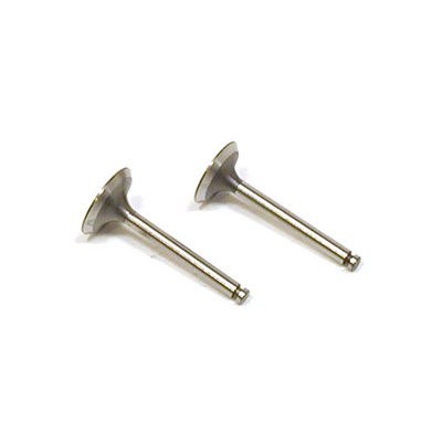 [Saito] Valve (in & out) for FA-100
