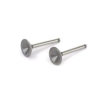 [Saito] Valve (in & out) for FA-150S