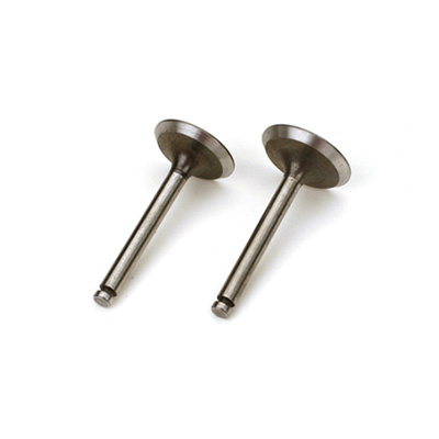 [Saito] Valve (In & Out) for FA-125