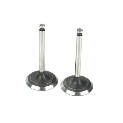 [Saito] Valve (In & Out) for FA-220