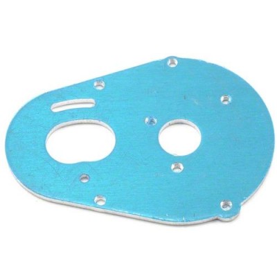 [TEAM LOSI] Motor Plate