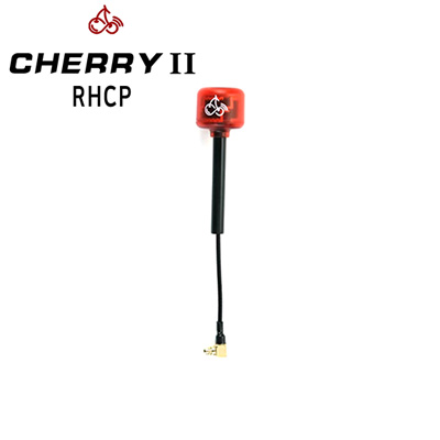 [Rush] ���� ü��2 ���׳� (RHCP, 2pcs, ����) Ŀ���� MMCX 90�� 83mm