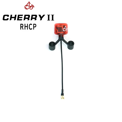 [Rush] ���� ü��2 ���׳� (RHCP, 2pcs, ����) Ŀ���� YŸ�� MMCX 90�� 83mm