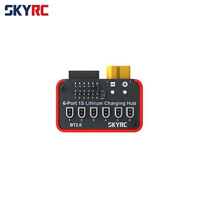 SKYRC 1�� 6��Ʈ ������� (BT2.0Ŀ����)
